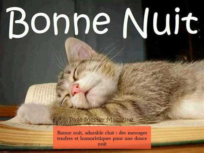 Bonne nuit, adorable chat : des messages tendres et humoristiques pour une douce nuit