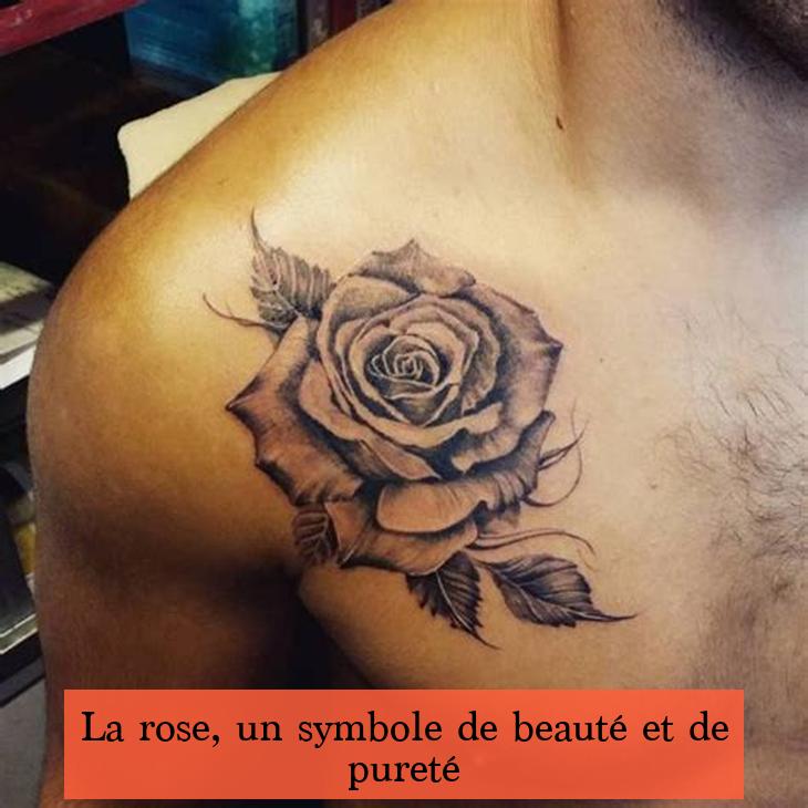 La rose, un symbole de beauté et de pureté