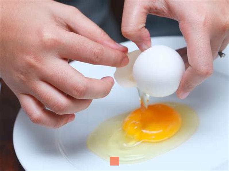 Afin de savoir si un œuf est fécondé, vous devez : 
