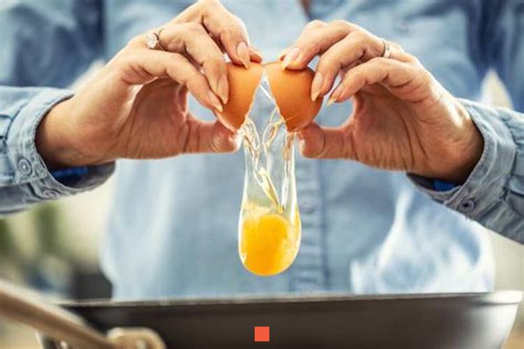 Ces quelques étapes vous permettront de savoir si un œuf est fécondé ou non !