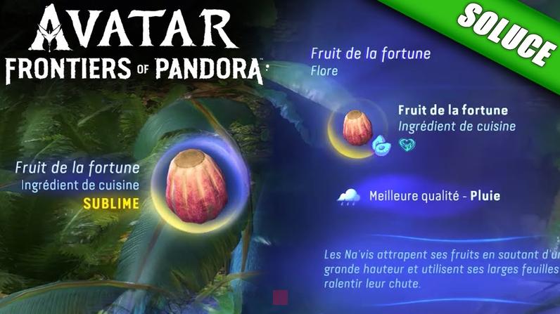 avatar fruit de la fortune