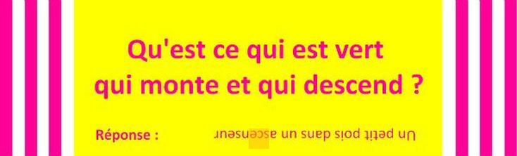 Défiez l'ingéniosité de vos enfants avec ces devinettes amusantes ! 🧠🎩