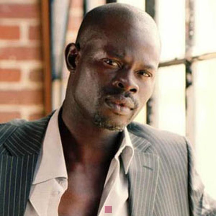 djimon hounsou fortune