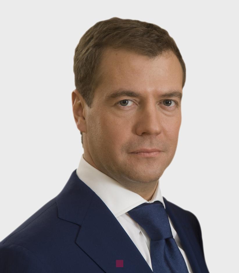 dmitri medvedev fortune