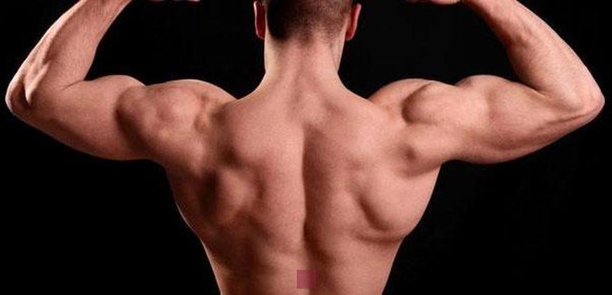 Exercices efficaces pour un dos musclé et tonique : Guide complet