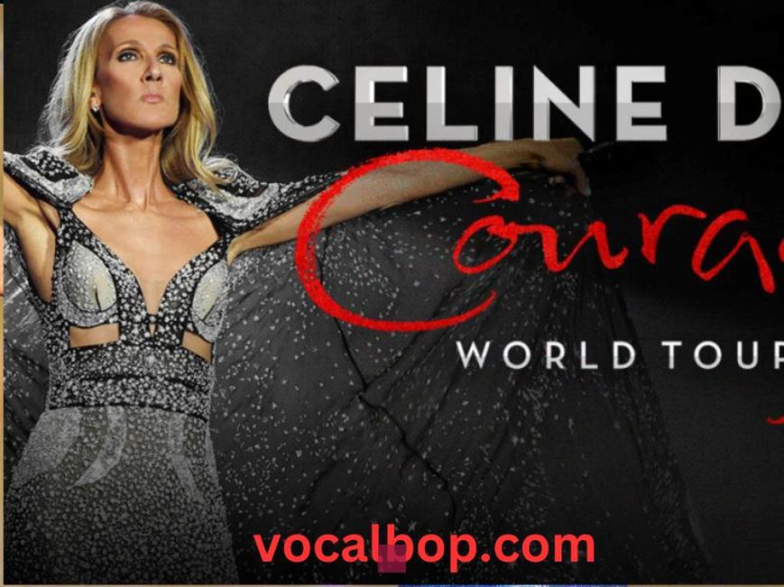 fortune céline dion 2024