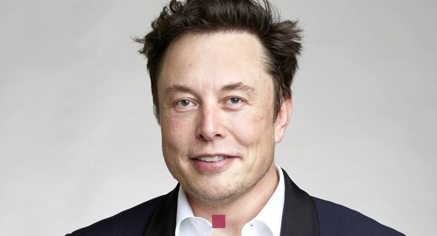 fortune elon musk en euros