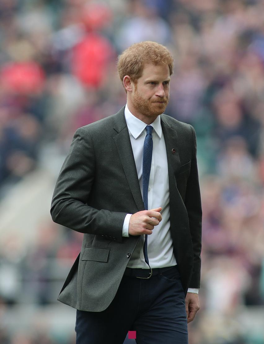 fortune prince harry