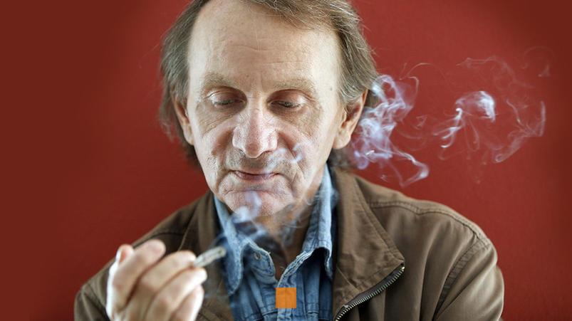 michel houellebecq fortune