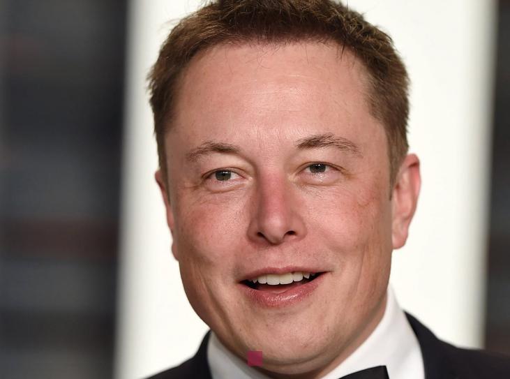 quelle est la richesse de elon musk