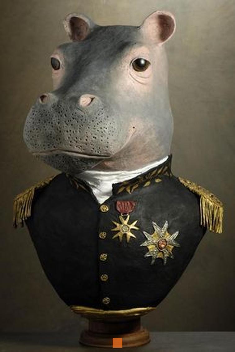 Masquerade Hippopotame identité révélée