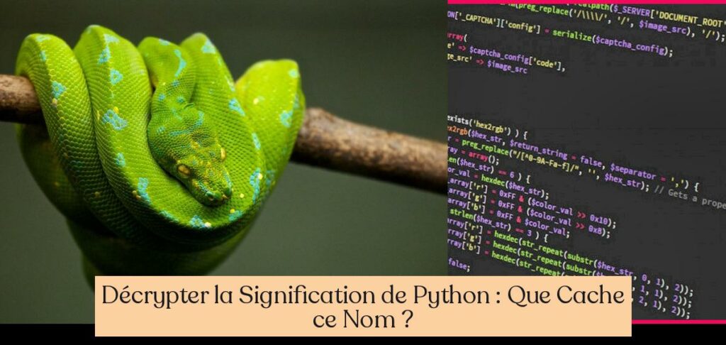 Décrypter la Signification de Python : Que Cache ce Nom ? - Eventofy ...